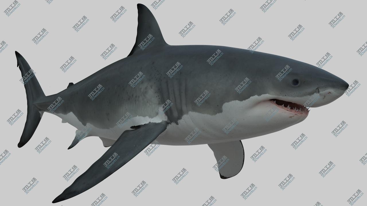 images/goods_img/2021040232/great white shark .OBJ/3.jpg